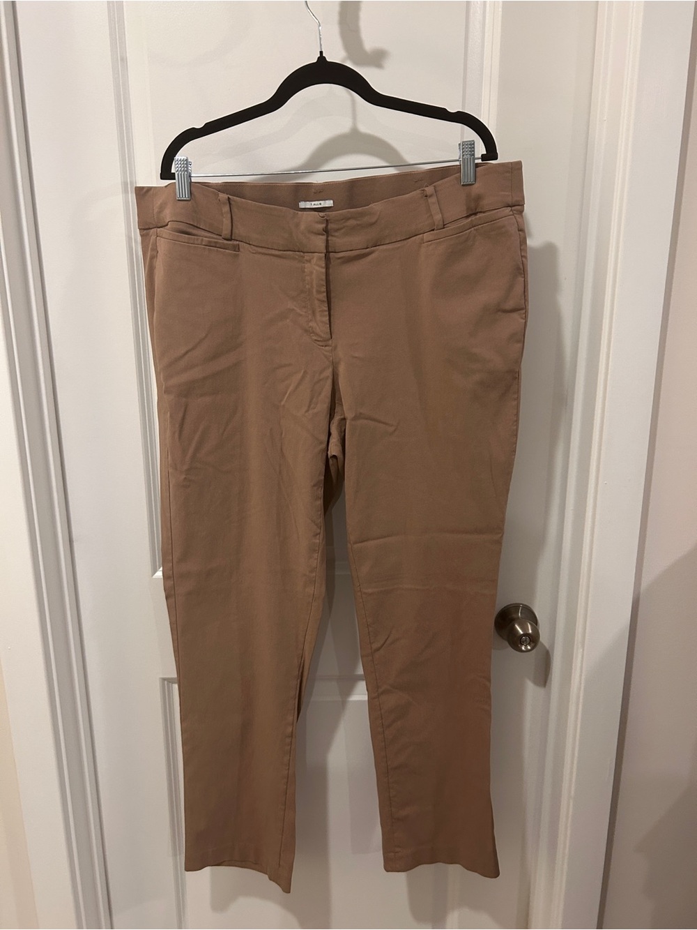 Lane Bryant Straight Leg Pants in Tan